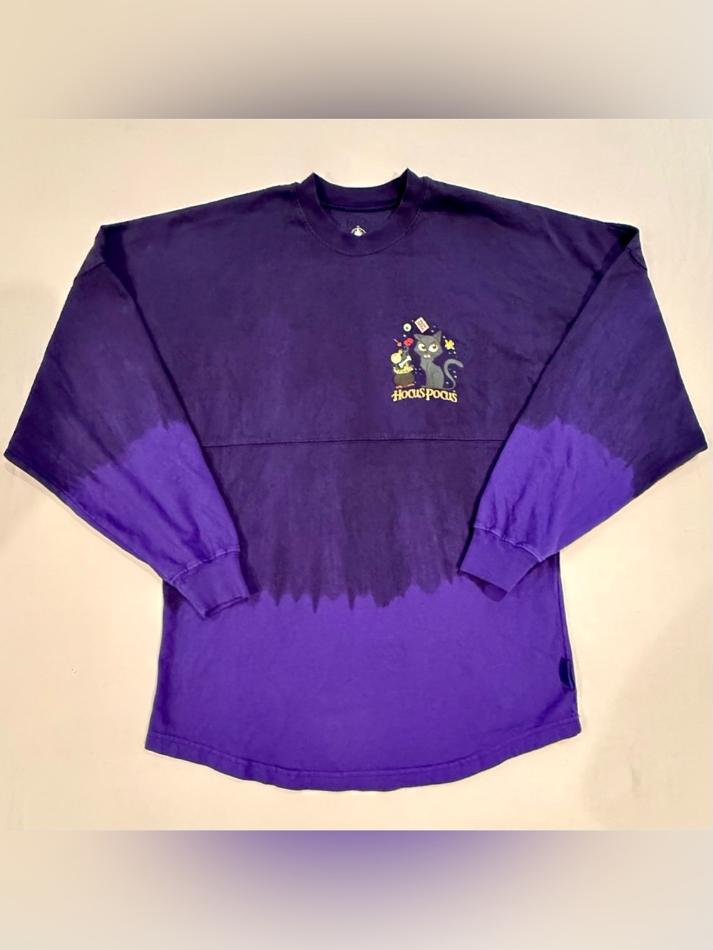 Disney Hocus Pocus Spirit Jersey Womens XS Purple Ombre Thackeray Binx Halloween